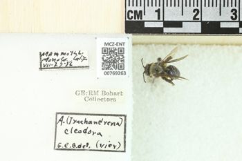 Media type: image;   Entomology 769263 Aspect: Labels